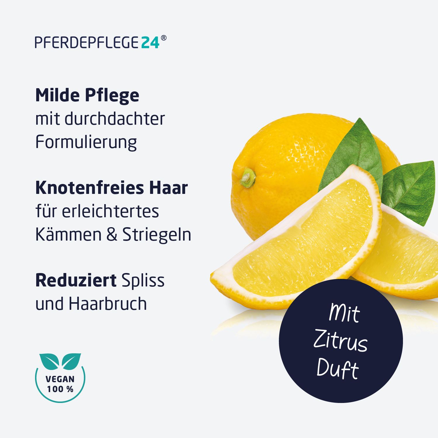Pferdepflege24 Schweif&Mähnen Spray