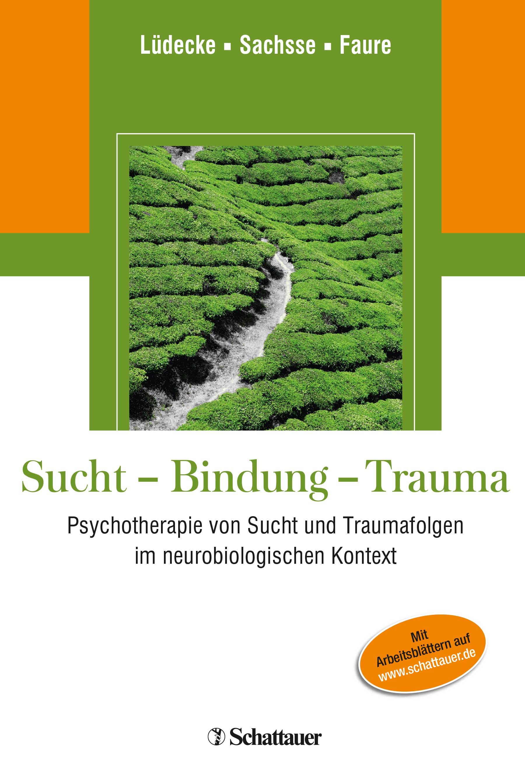 Buchcover mit Titel "Sucht - Bindung - Trauma". Grün-oranges Design mit Landschaftsfoto. Autorennamen oben. Verlag Schattauer.