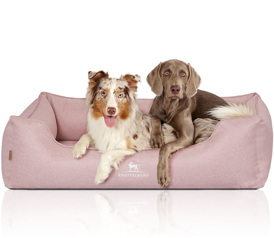 Knuffelwuff Orthopädisches Hundebett Luisa