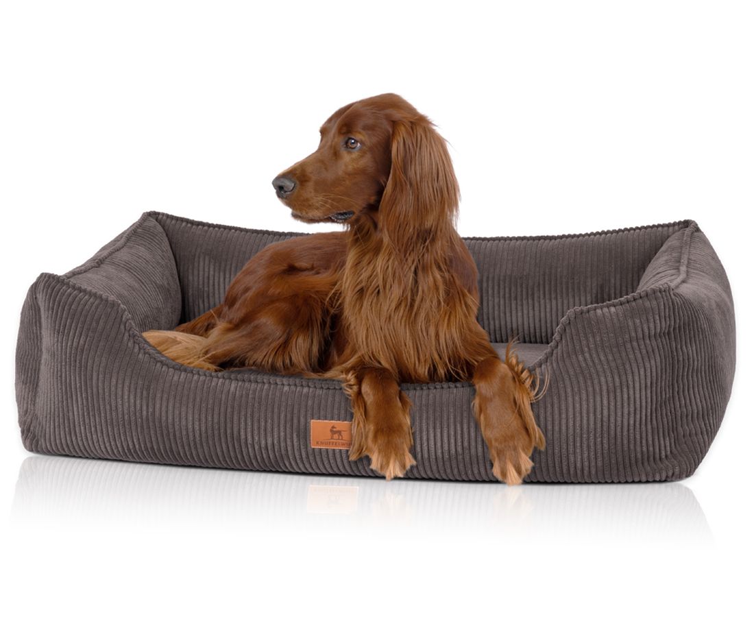 Hund liegt auf orthopädischem Hundebett, grau, Cord-Optik. Rasse: Irish Setter. Rechteckige Form mit erhöhten Seiten.