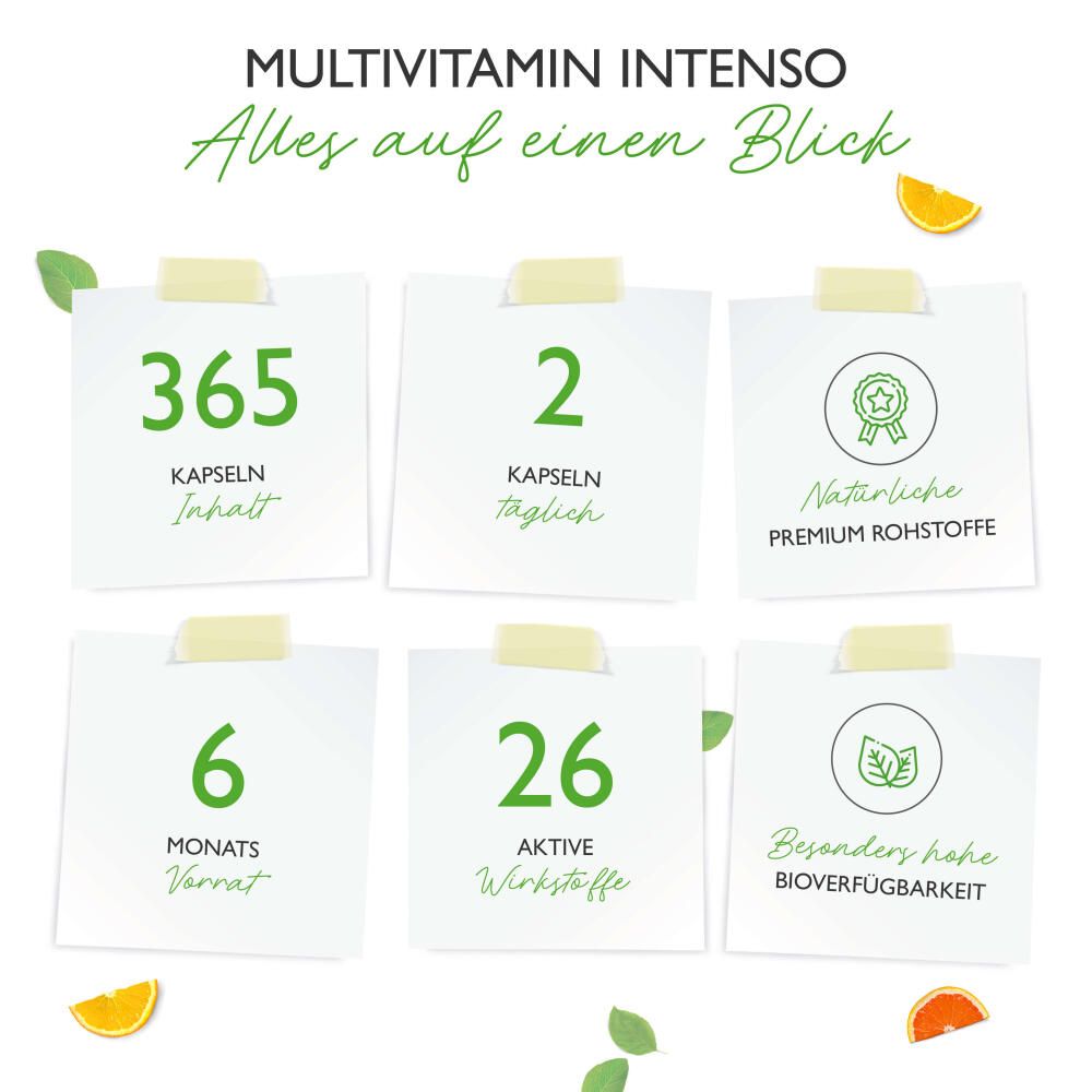 vit4ever Premium Multivitamin Intenso 365 St Kapseln