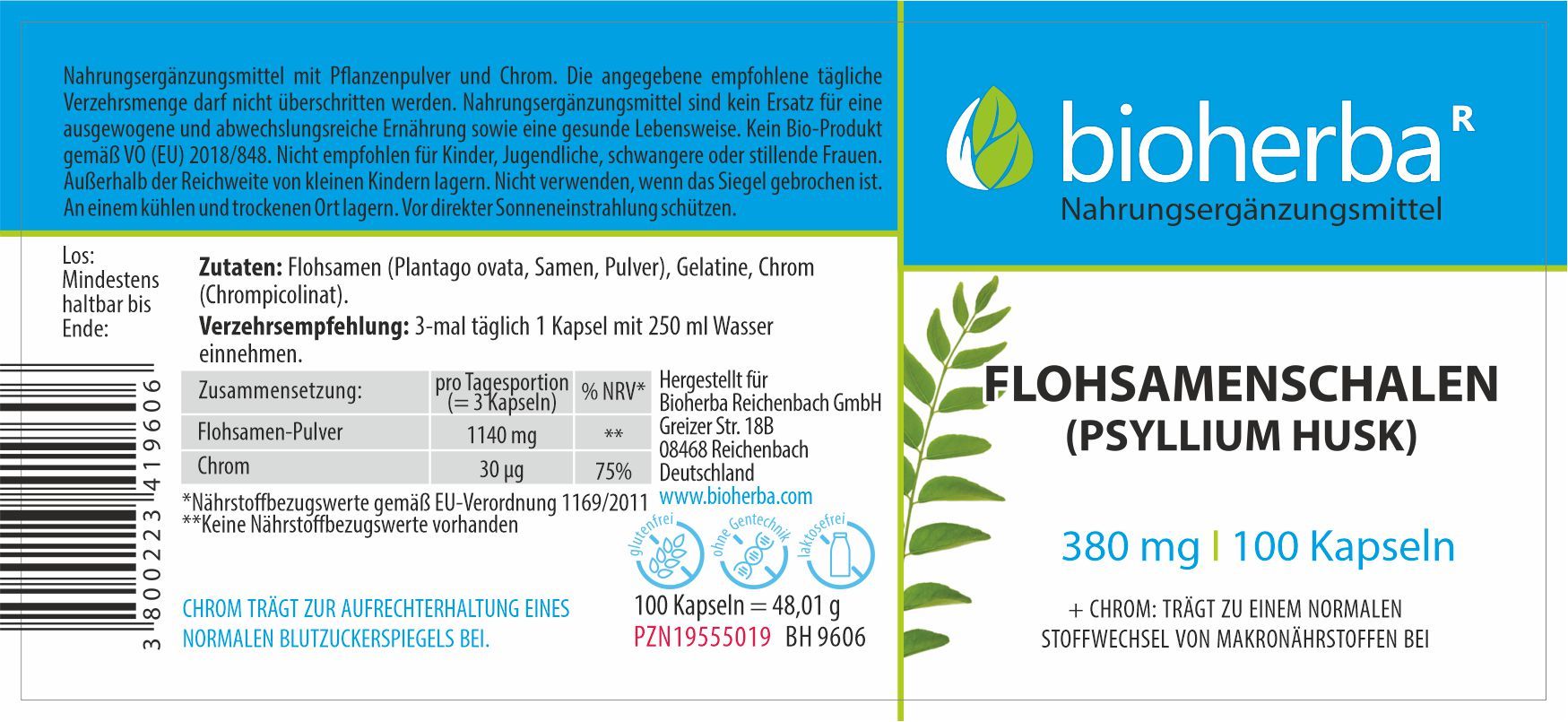 Flohsamenschalen (Psyllium Husk) 380 mg 100 Kapseln PZN 19555019