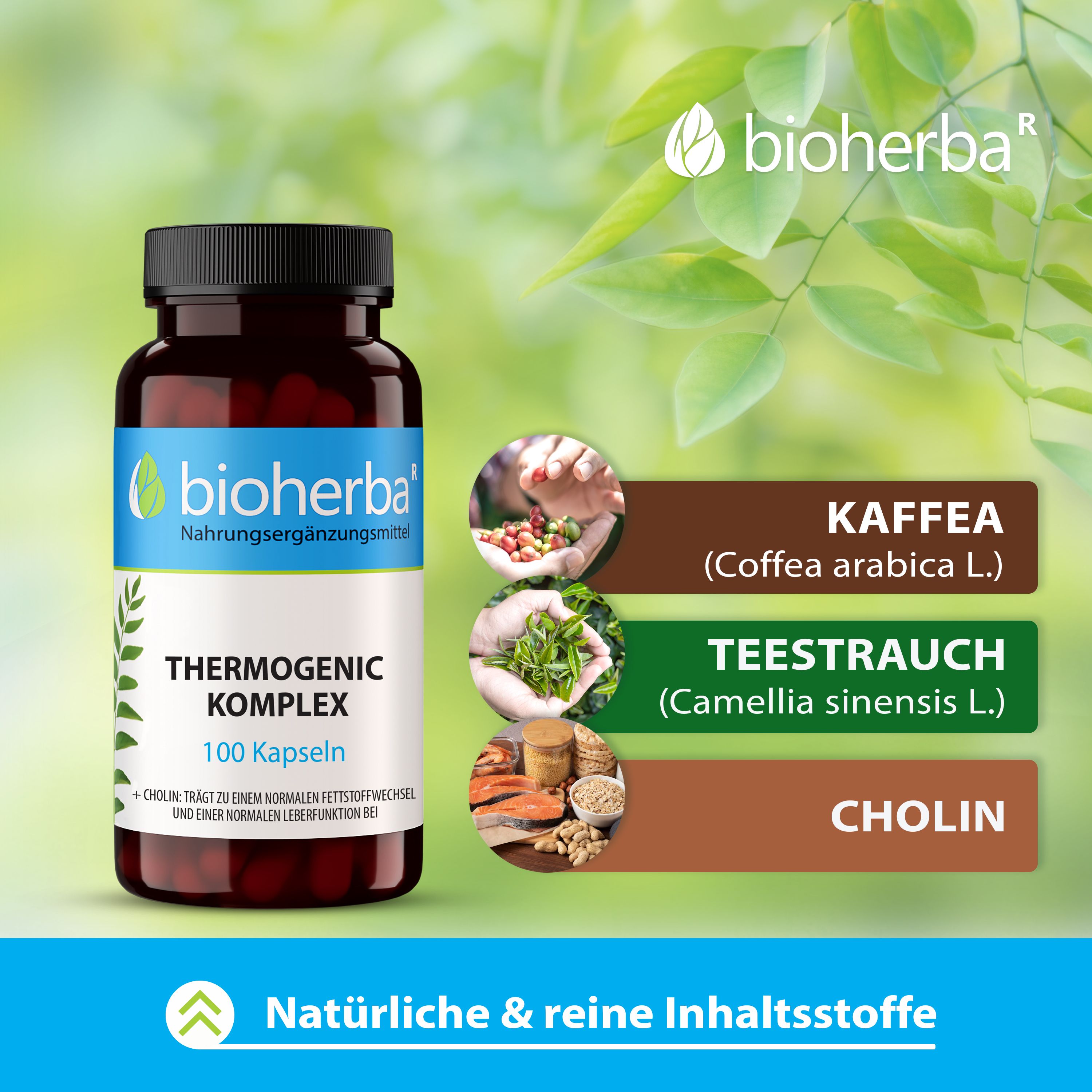 Bioherba Thermogenic Komplex Kapseln