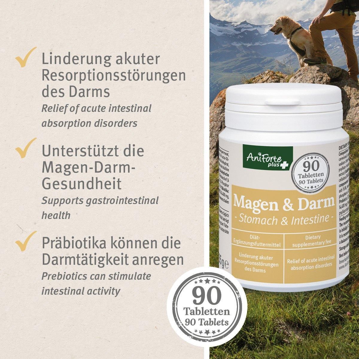 Weiße Dose AniForte Plus Magen & Darm. 90 Tabletten. Produkt neben Text über Vorteile.