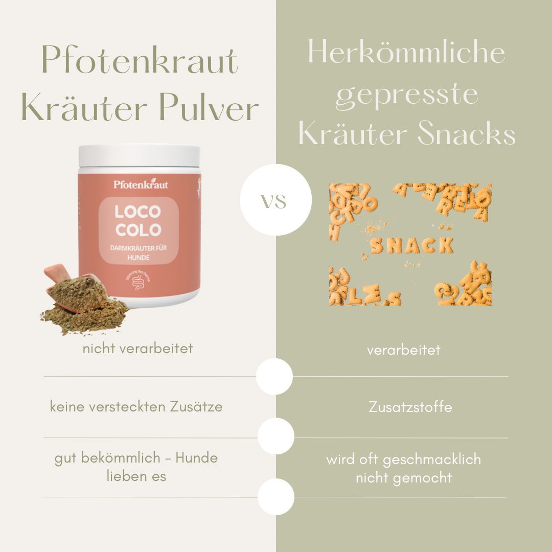 Pfotenkraut Darm Kräuter LOCO COLO