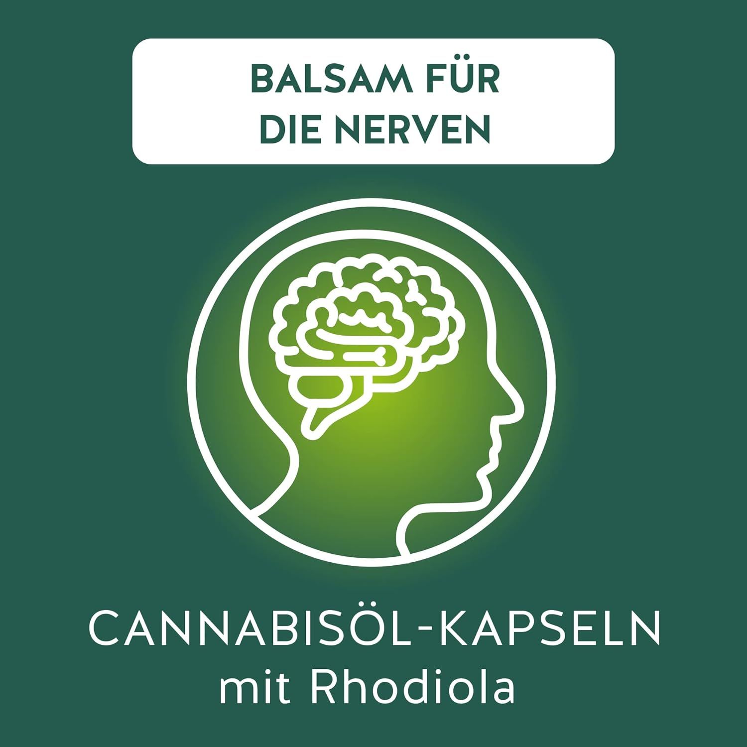 Grafik: Gehirn-Silhouette mit Text: BALSAM FÜR DIE NERVEN. Text: CANNABISÖL-KAPSELN mit Rhodiola.