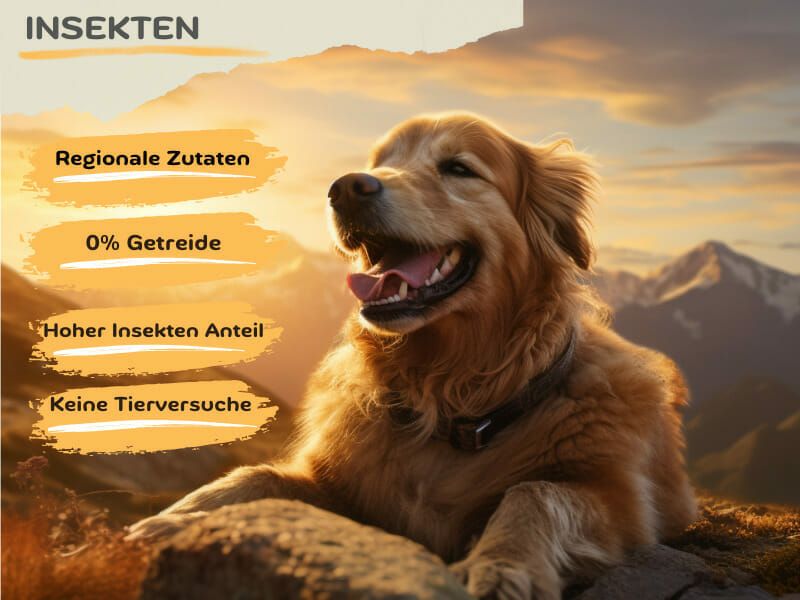 MyPetClub getreidefreies Insekten Hundefutter 1x8 kg Futter