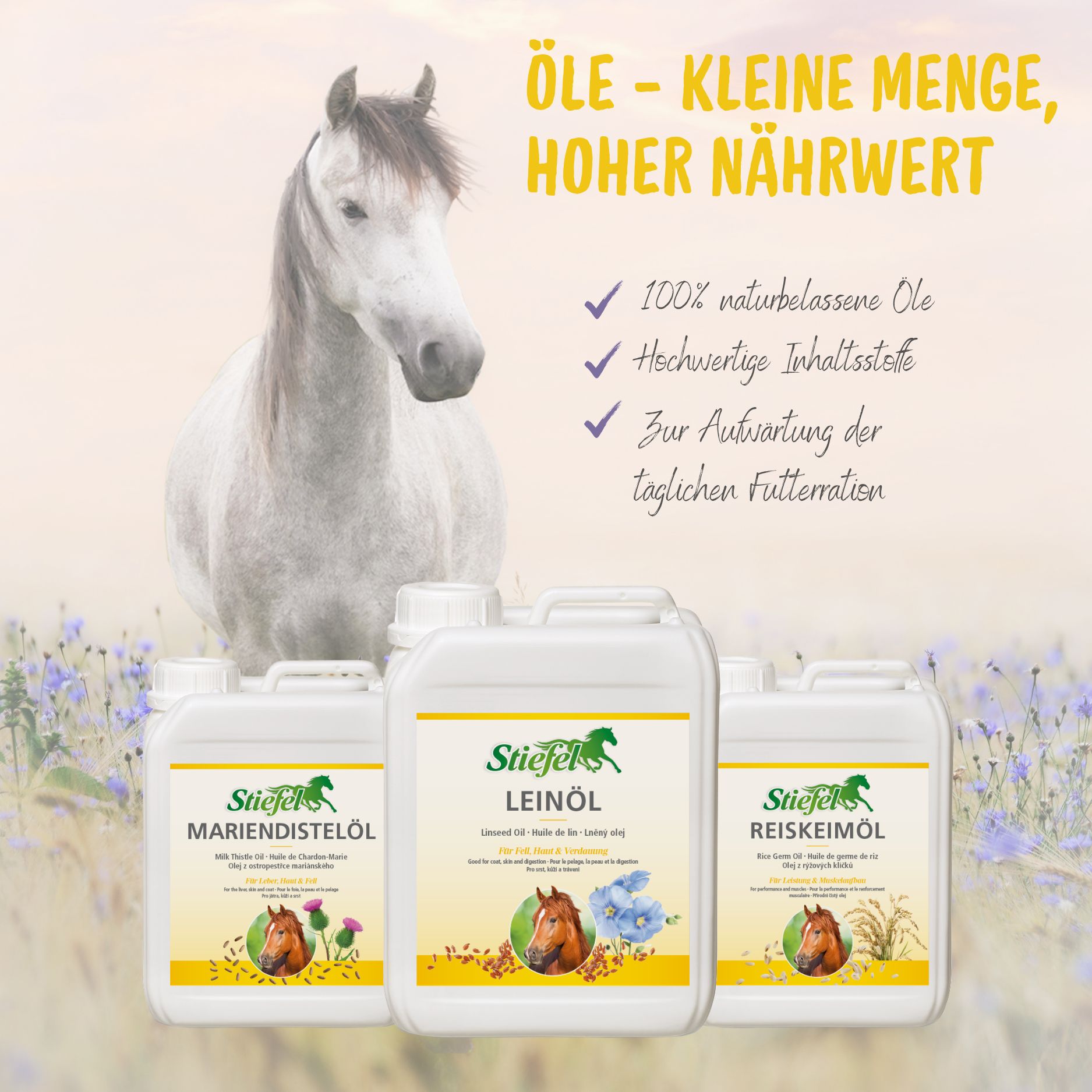 Drei Kanister mit Öl, Pferd im Hintergrund. Text: Stiefel Mariendistelöl, Leinöl, Reiskeimöl. Text: Öle - kleine Menge, hoher Nährwert.