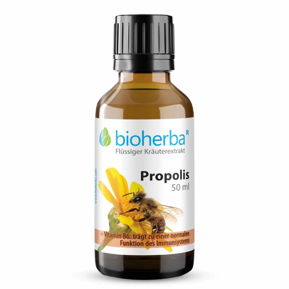 Braune Glasflasche mit schwarzem Deckel. Etikett mit "bioherba" Logo, "Propolis" und Biene auf Blüte. Text: "Vitamin B6".