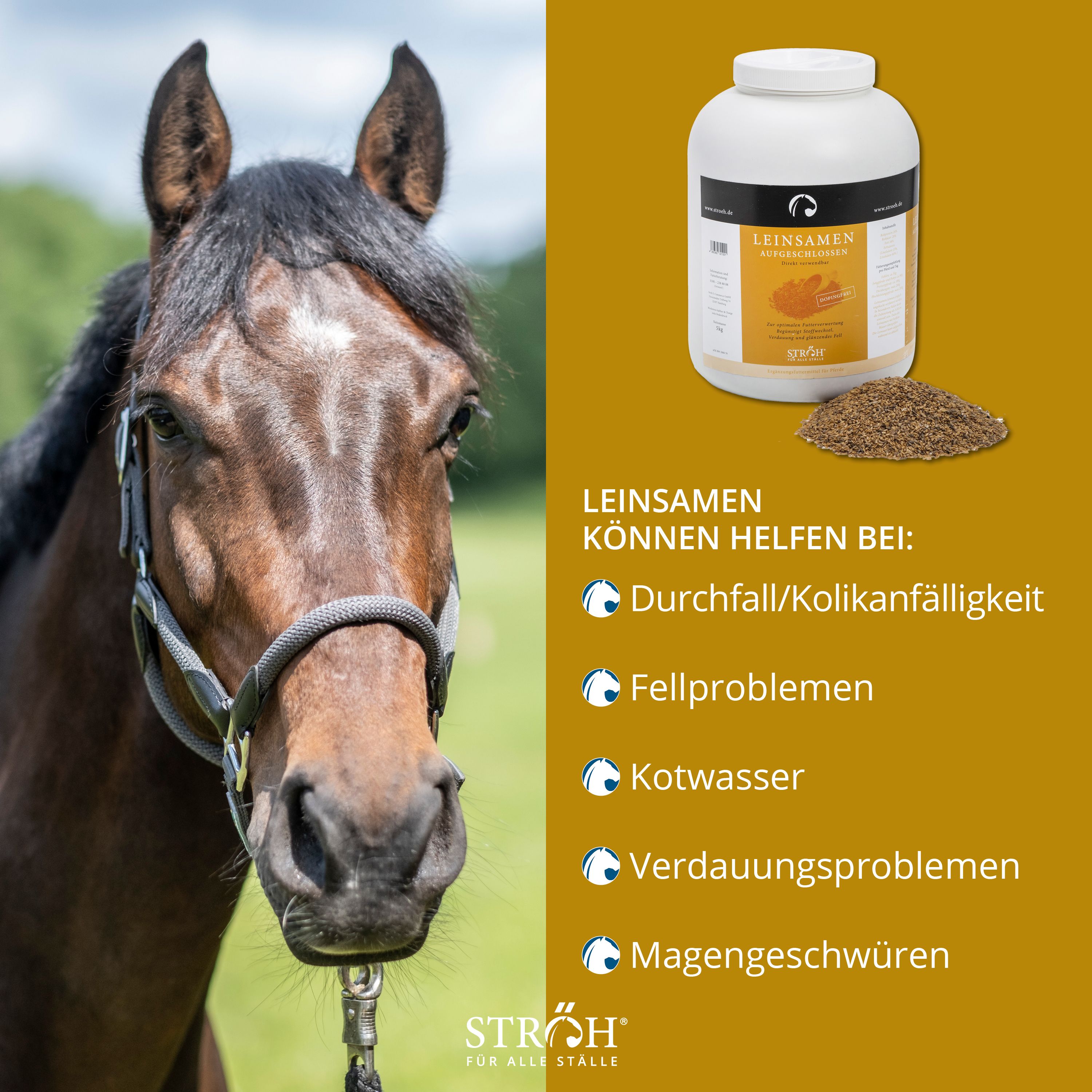 Pferd neben weißem Behälter mit Leinsamen. Text: LEINSAMEN AUFGESCHLOSSEN. Text mit Anwendungsbereichen. Marke STRÖH.