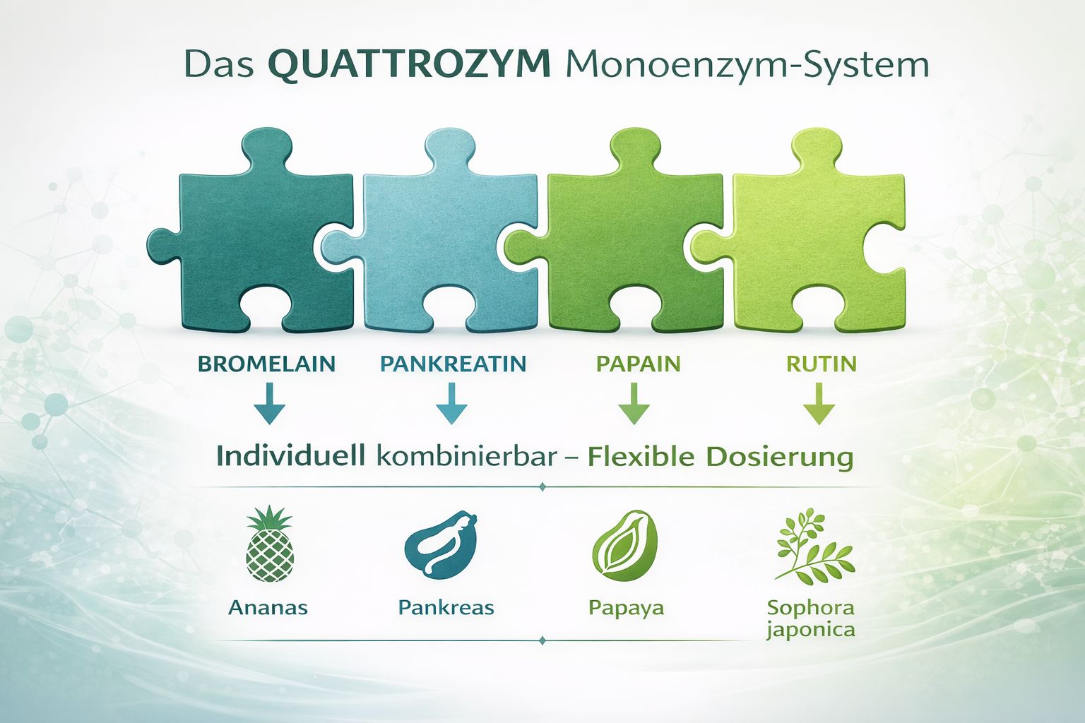 Vitalsee QUATTROZYM: Vier Enzyme, durchdacht kombiniert, mit Icons für Tagesdosis, 4 Enzyme, reine Rezeptur.