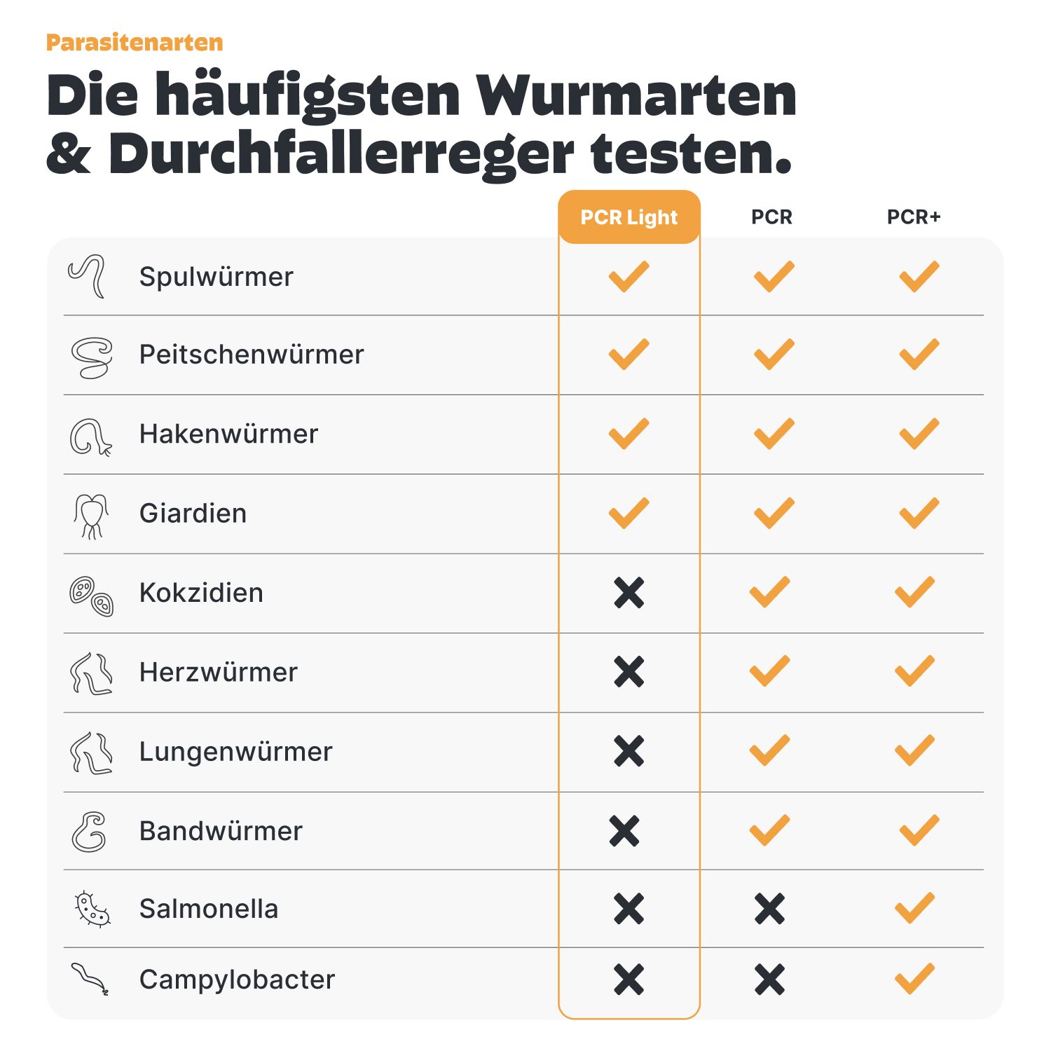 Tabelle: Häufigste Wurmarten & Durchfallerreger testen. Spulwürmer, Peitschenwürmer, Hakenwürmer, Giardien, etc. PCR Light, PCR, PCR+.