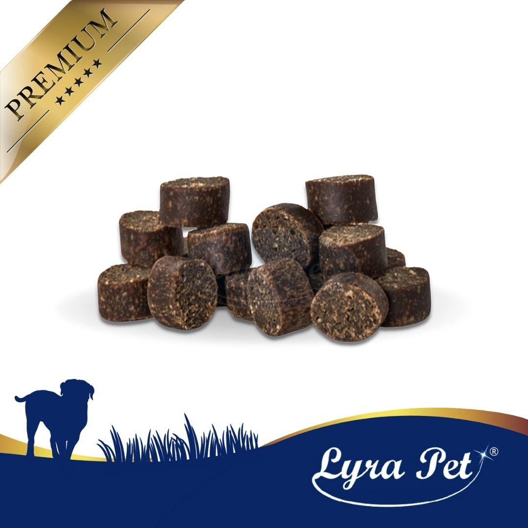 Lyra Pet® Hundecookies mit Strauß und Hirsch + Tennis Ball