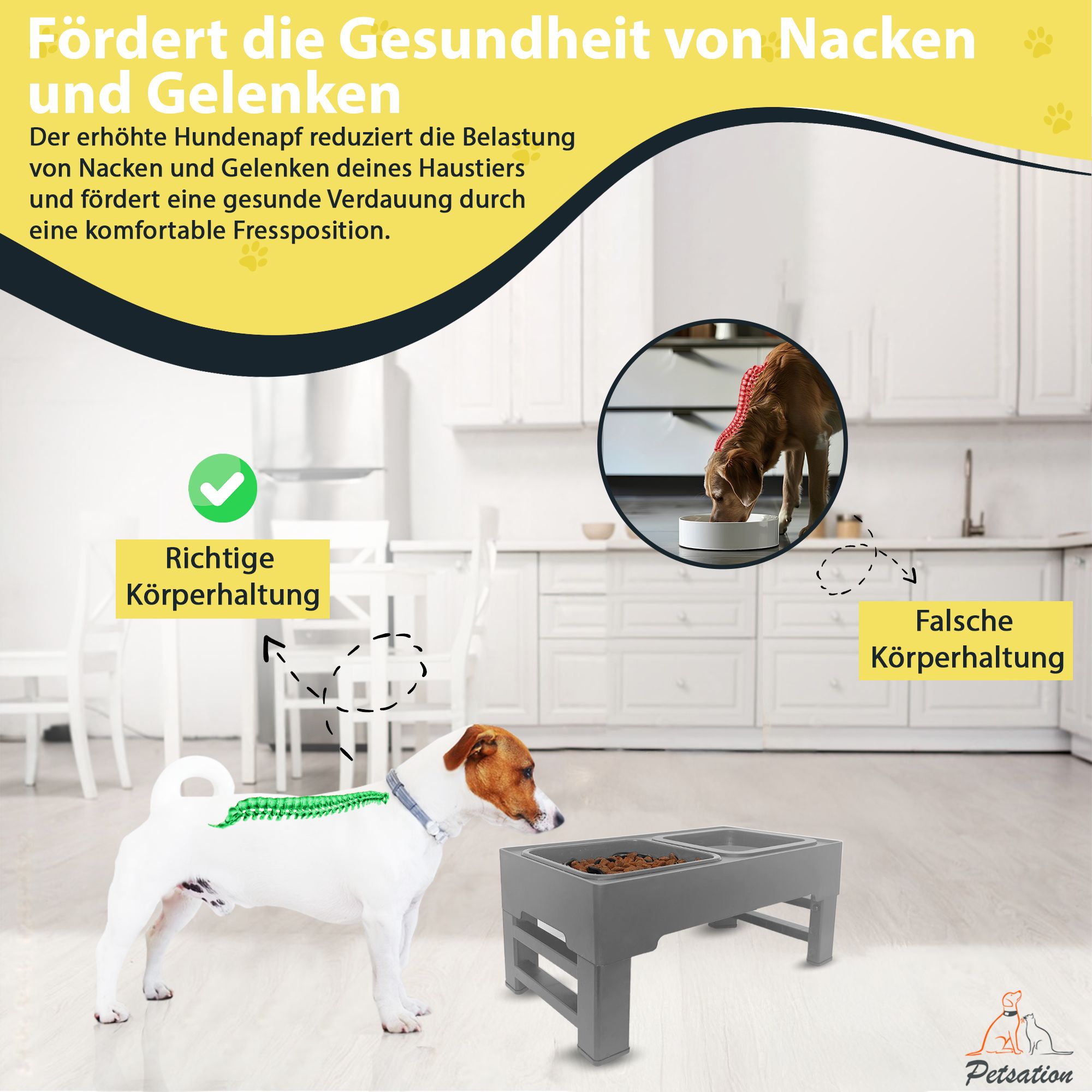 PETSATION erhöhter Hundenapf AntiSchling (Hunde)
