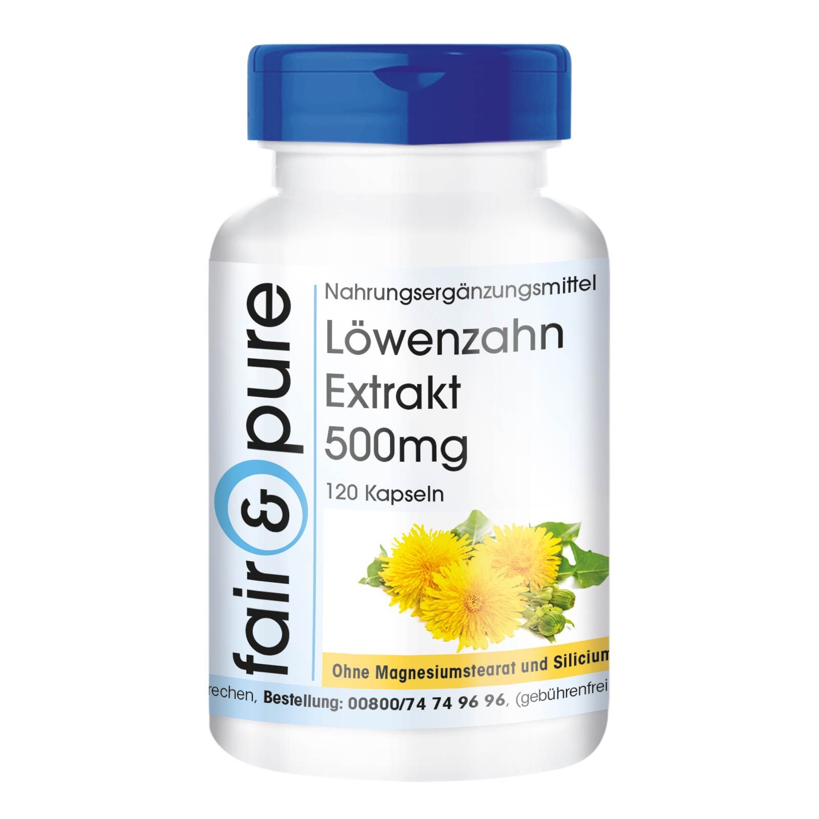 fair - pure | Löwenzahn Extrakt 500mg 120 St
