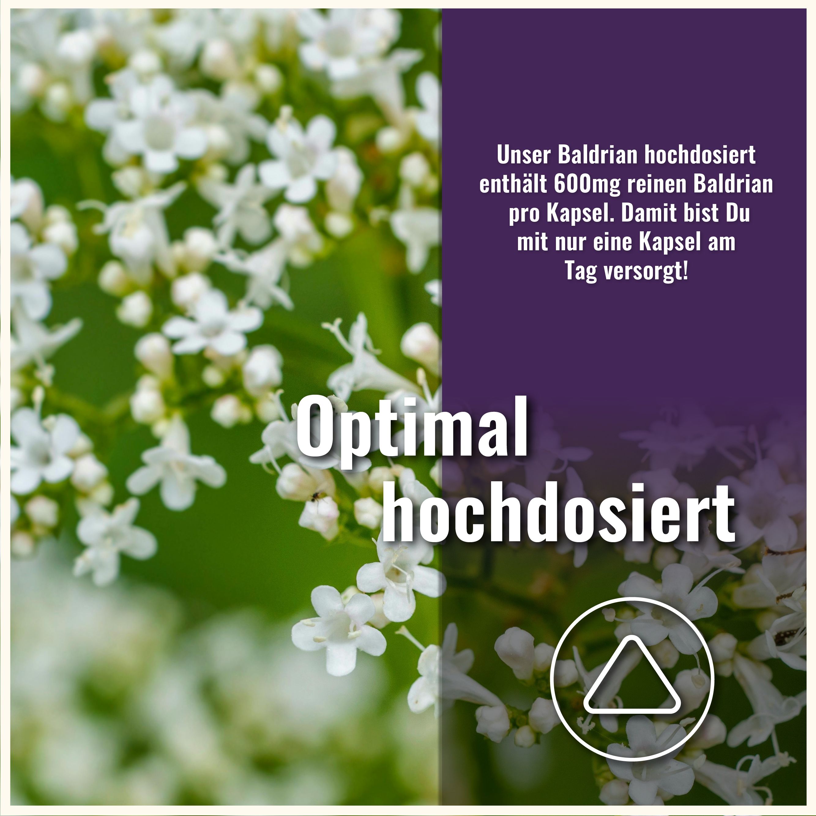 Sports & Health Baldrian Kapseln