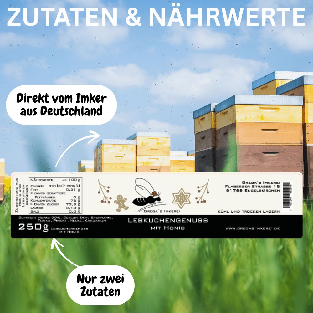 Glas Honig mit Lebkuchengeschmack, 250g, mit Bienenmotiv und Sternen.