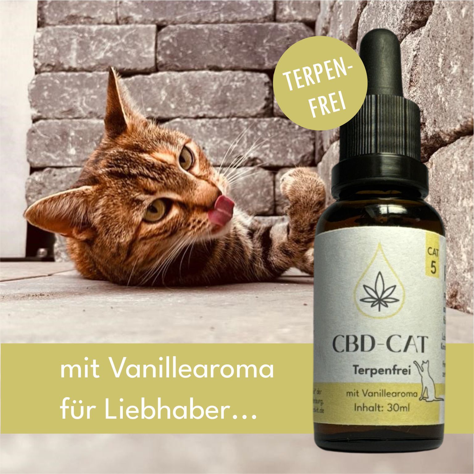CBD Öl Flasche für Katzen neben einer Katze. Terpenfrei, mit Vanillearoma, 30ml.