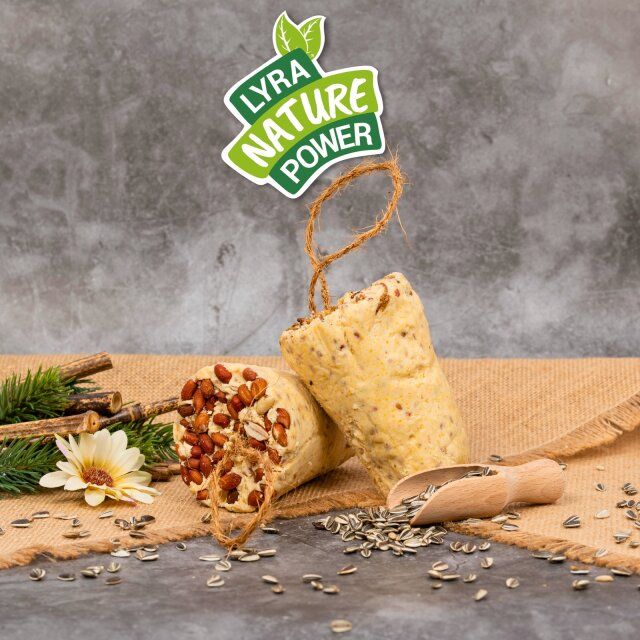 Zwei Fettriegel mit Erdnüssen. Logo 'Lyra Nature Power'. Sonnenblumenkerne und Löffel.