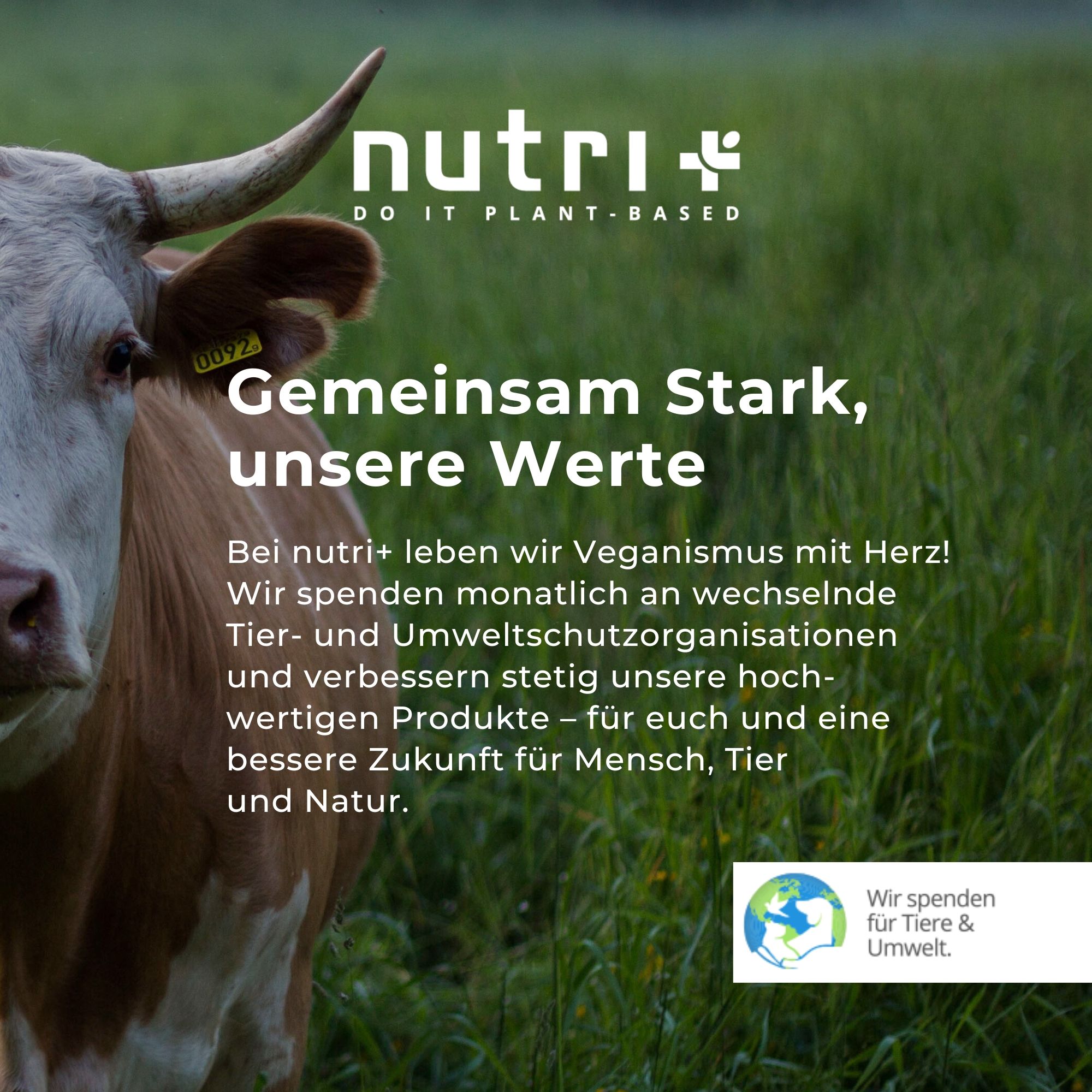 Kuh auf einer Wiese. Text: Gemeinsam Stark, unsere Werte. Informationen über vegane Werte und Spenden für Tiere und Umwelt.