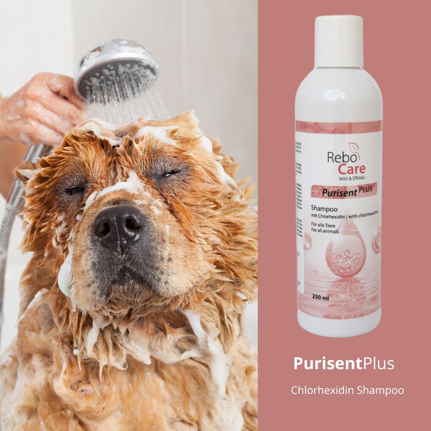 reboVet ReboCare Purisent Plus