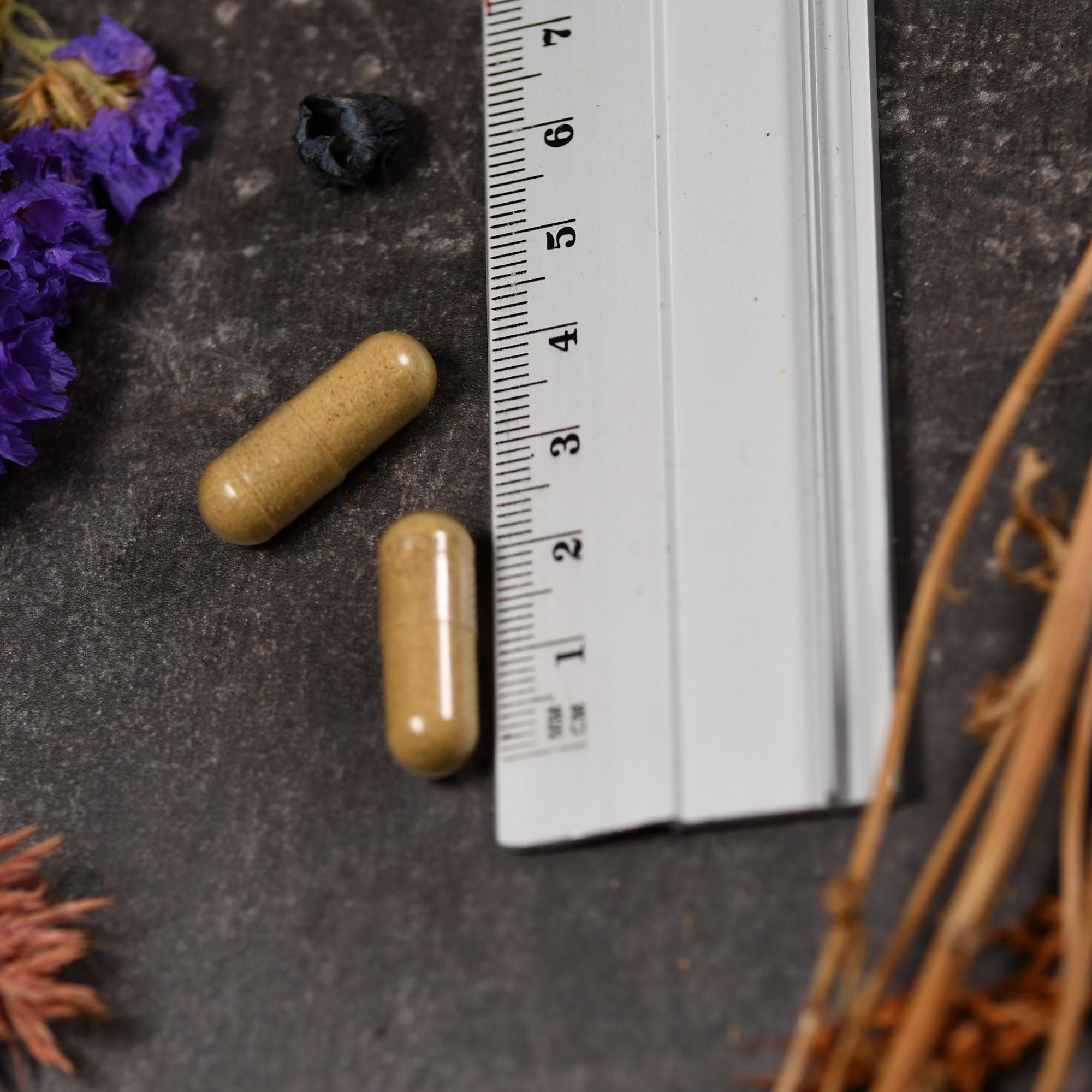 Solaray White Willow Bark (Silberweide) 600 mg