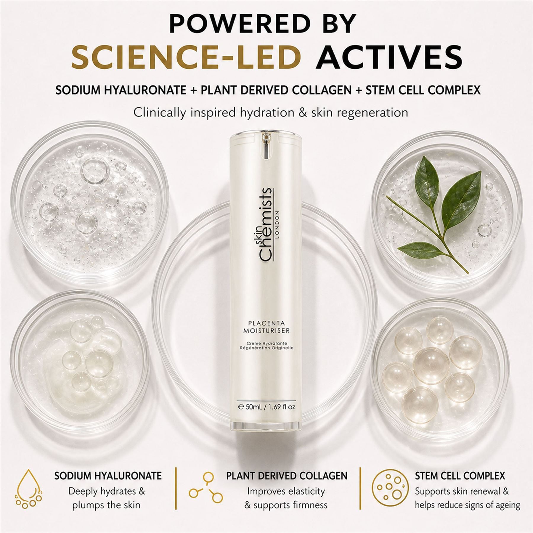 Skin Chemists Feuchtigkeitscreme umgeben von Schalen mit Natriumhyaluronat, pflanzlichem Kollagen und Stammzellkomplex.