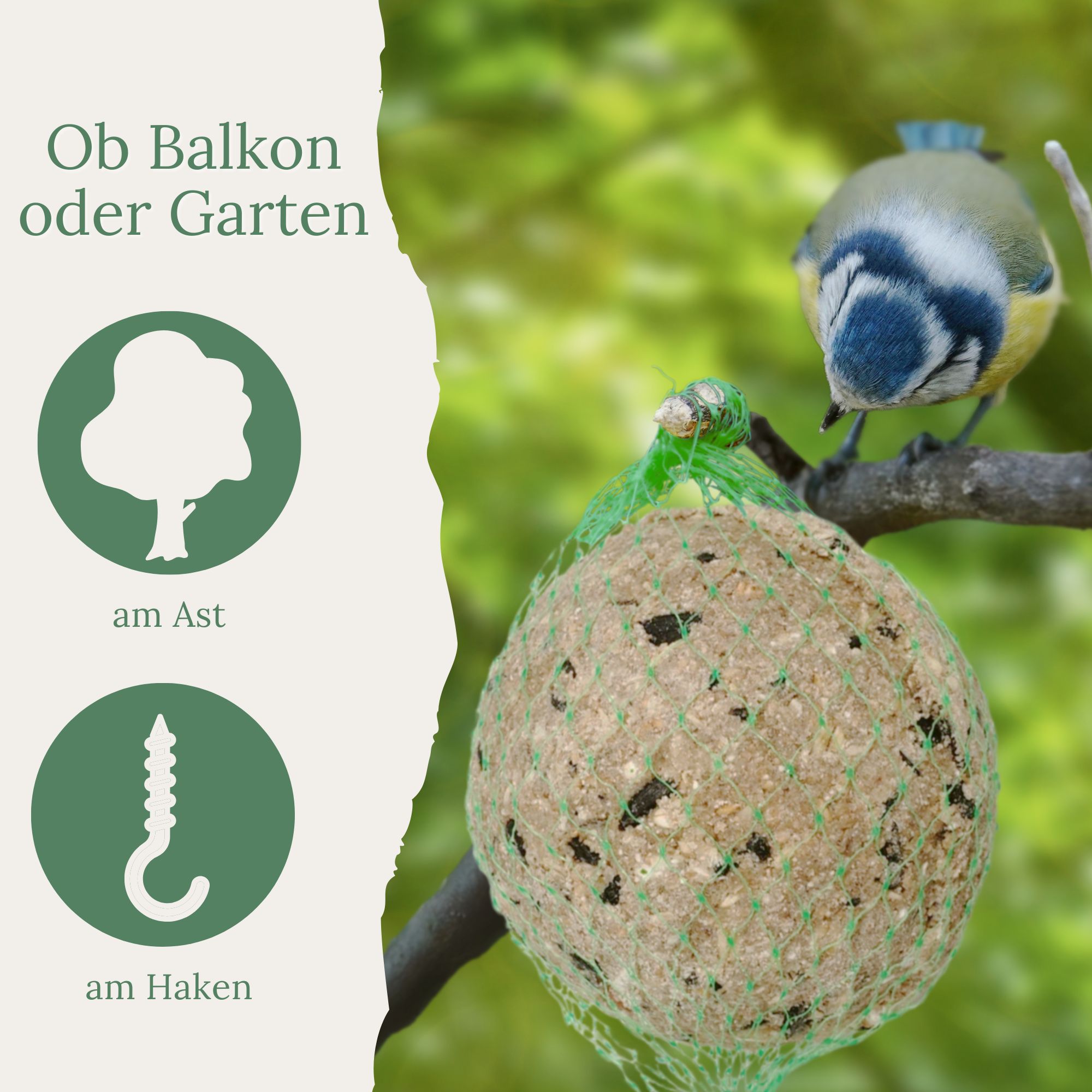 Meisenknödel am Ast und Haken. Text: Ob Balkon oder Garten.