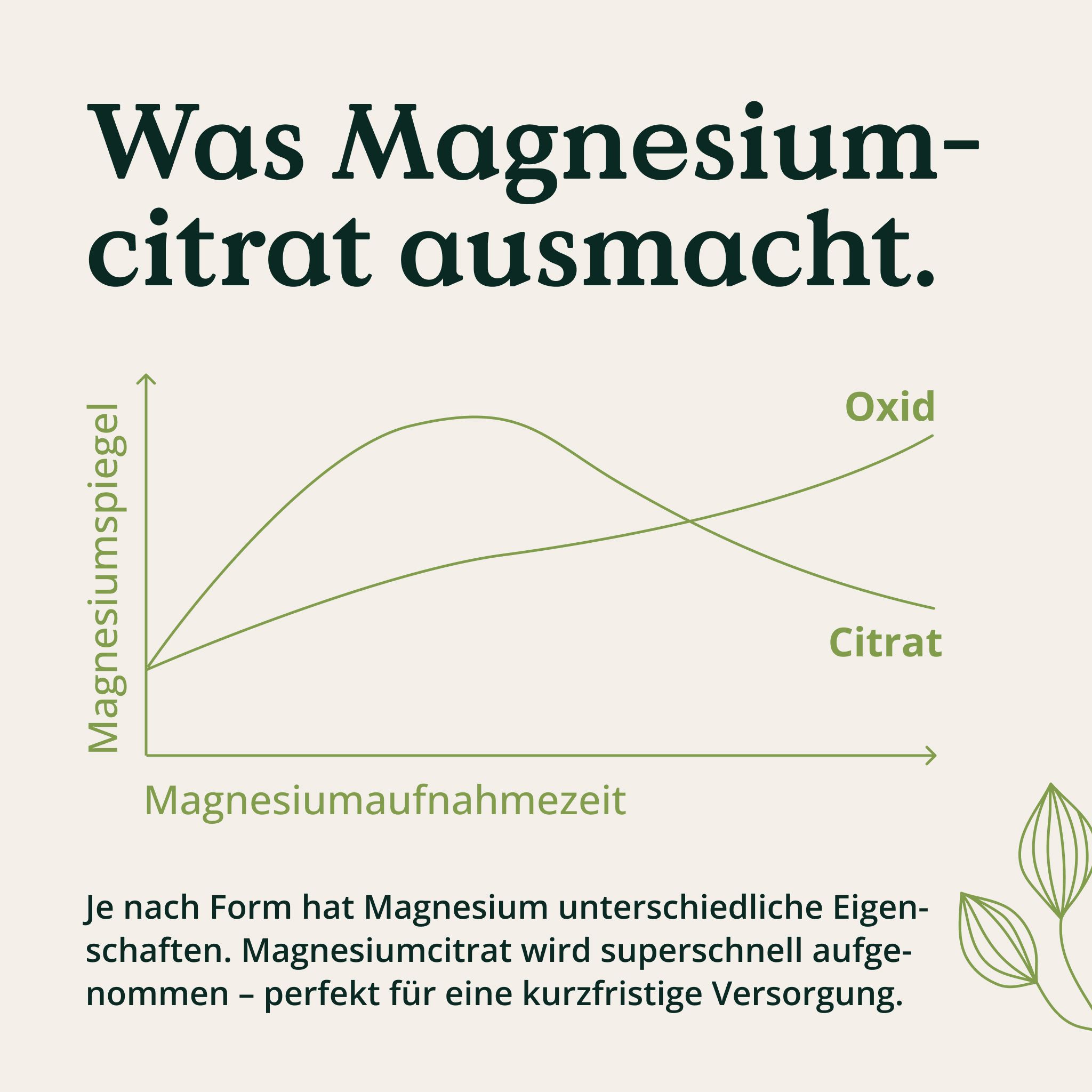 Grafik zeigt Magnesiumaufnahme von Citrat vs. Oxid über Zeit. Text: Was Magnesiumcitrat ausmacht.