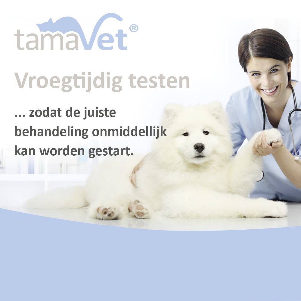 Dierenarts met hond. Tekst: Vroegtijdig testen, zodat de juiste behandeling onmiddellijk kan worden gestart.