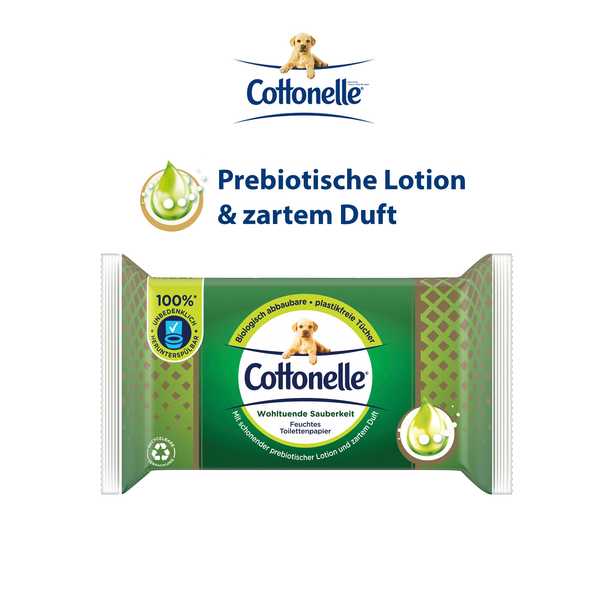 Cottonelle Feuchtes Toilettenpapier Wohltuende Sauberkeit