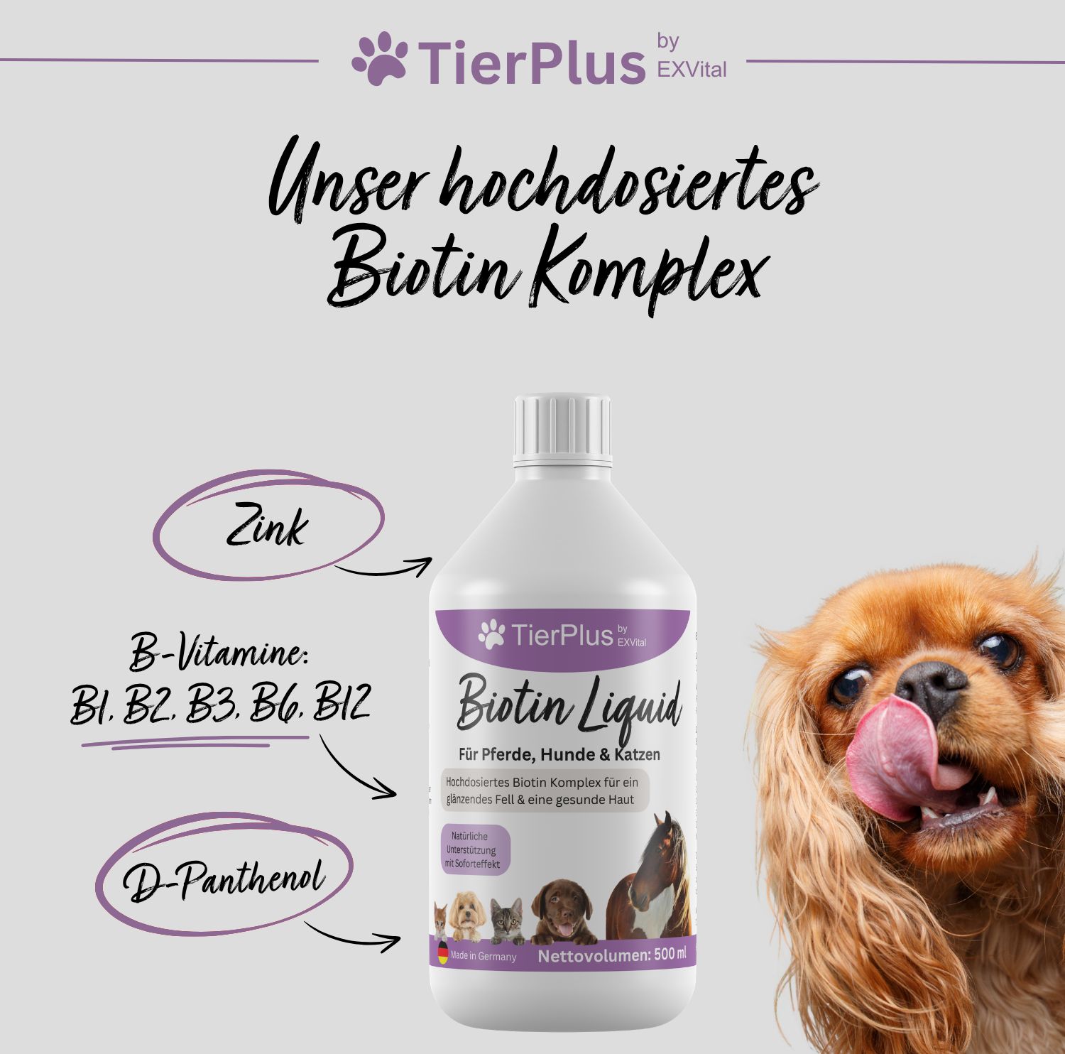 EXVital® TierPlus Biotin Liquid für Pferde, Hunde & Katzen