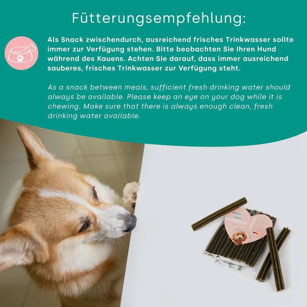 Ein Hund schaut auf eine Packung Dentalsticks. Daneben Text über Fütterungsempfehlung und frisches Wasser.