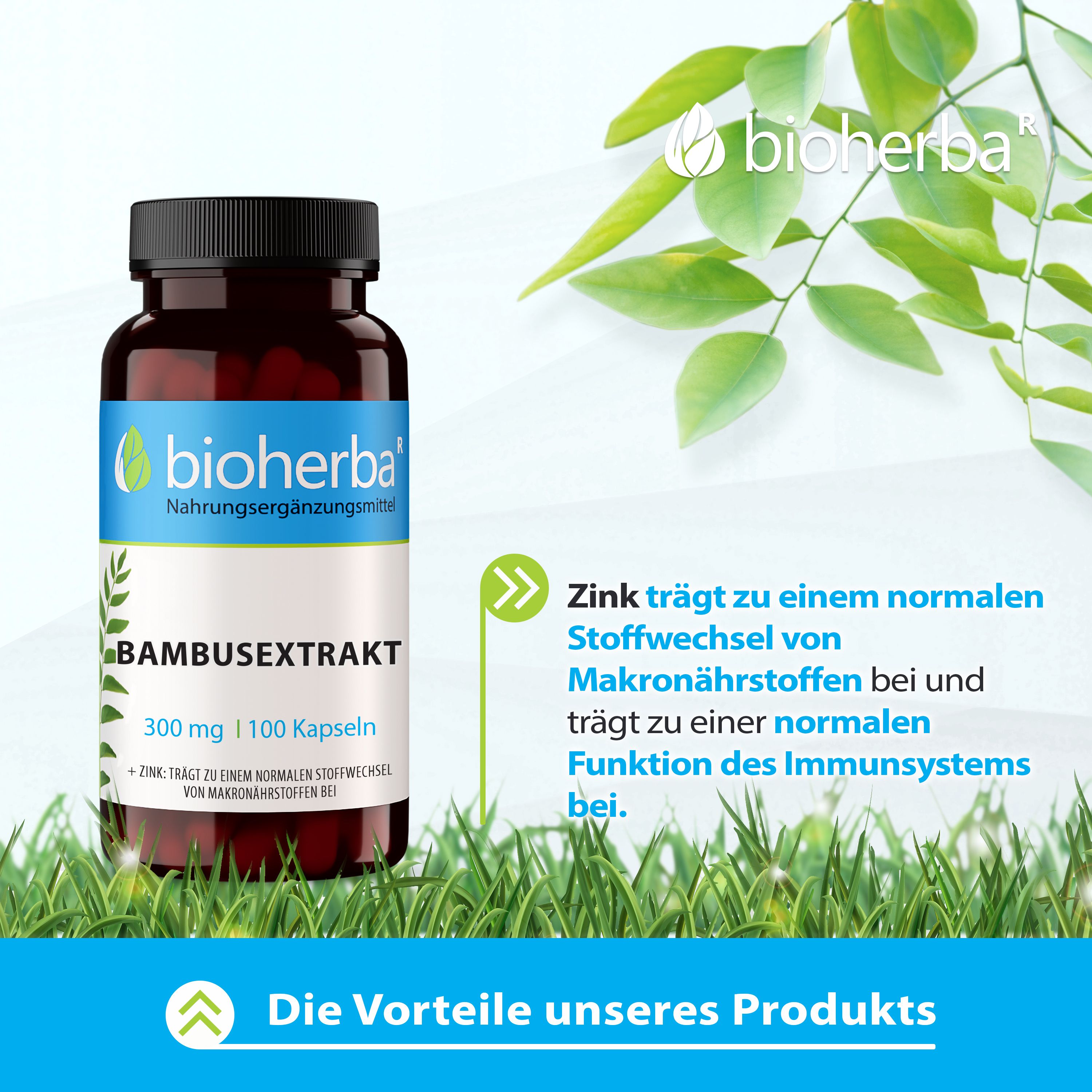 Bioherba Bambusextrakt Kapseln