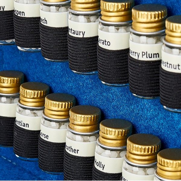 Nahaufnahme von Globuli-Fläschchen in einem blauen Filzetui. Etiketten mit Namen. Goldfarbene Deckel.