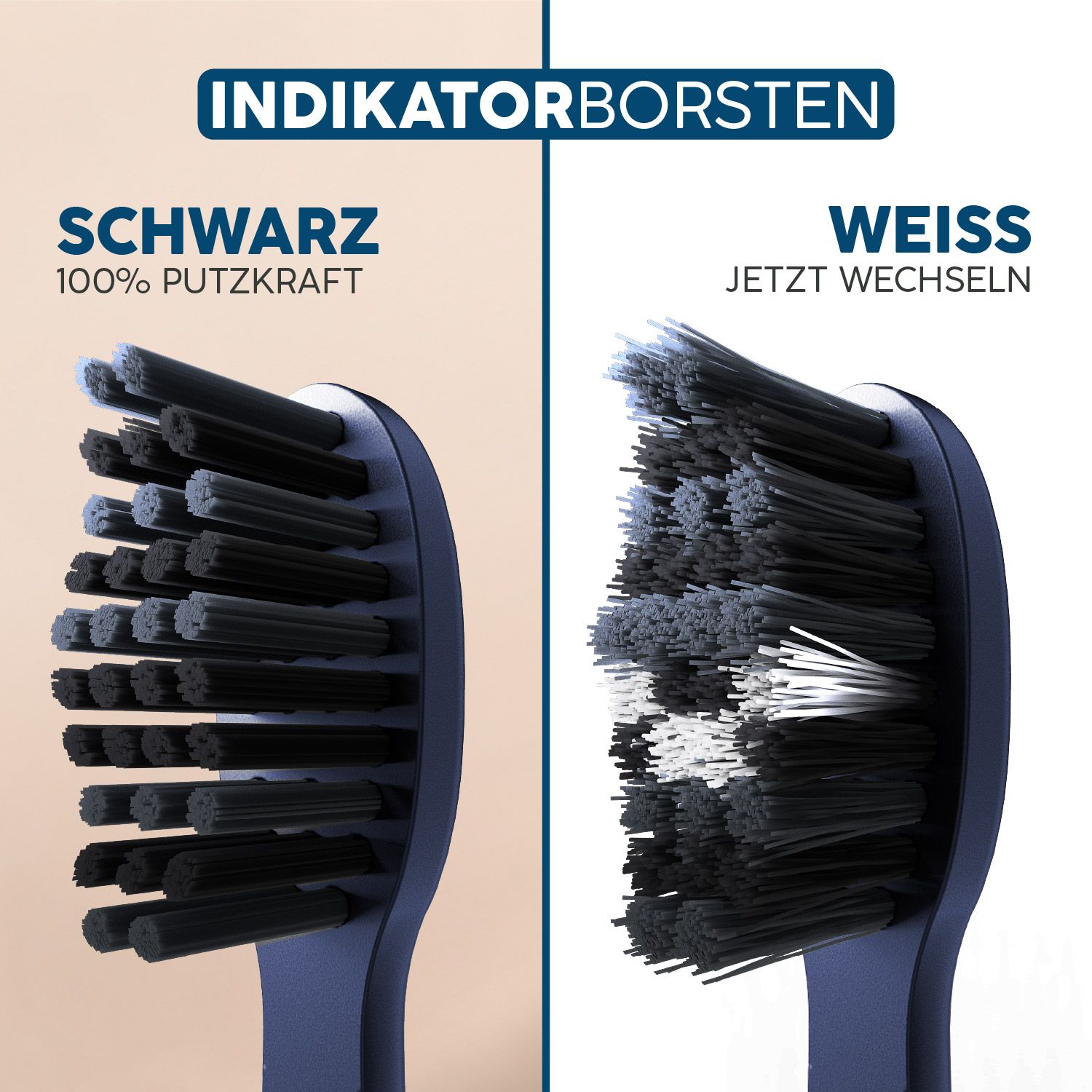 Zahnbürstenkopf-Nahaufnahme. Schwarze und weiße Borsten. Text: Indikatorborsten, Schwarz 100% Putzkraft, Weiß Jetzt wechseln.
