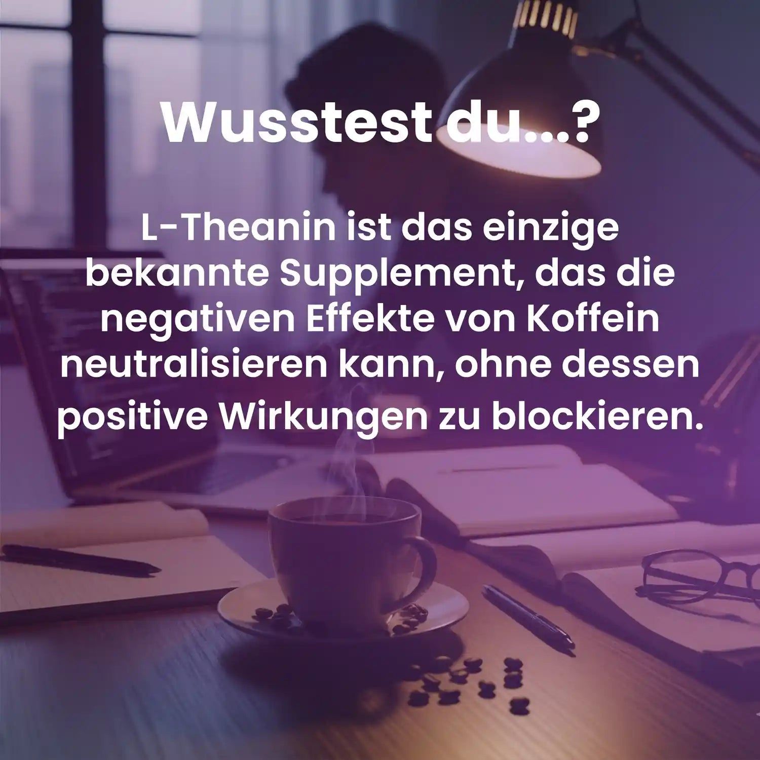 supplenatura Rheinland® - L-Theanin Kapseln