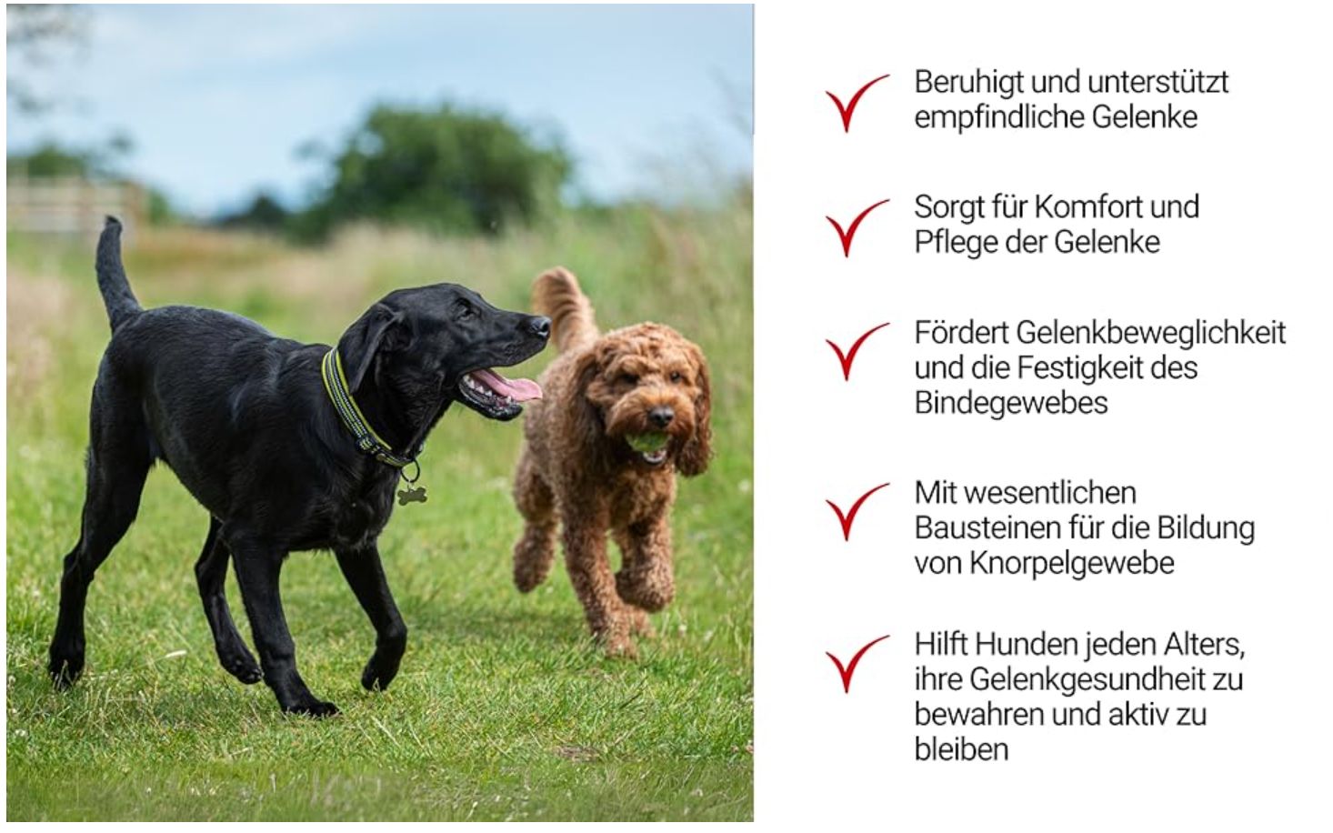 Tiermax Knochen & Gelenksnacks