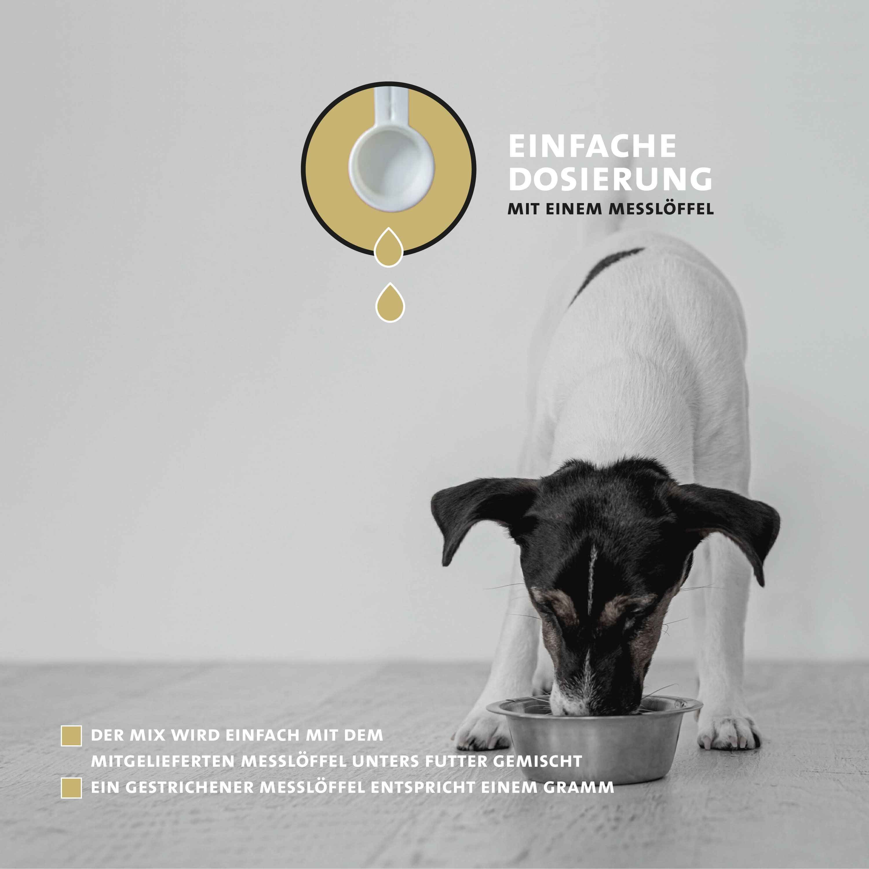 Hund frisst aus einer Schüssel. Messlöffel daneben. Text: EINFACHE DOSIERUNG MIT EINEM MESSLÖFFEL.