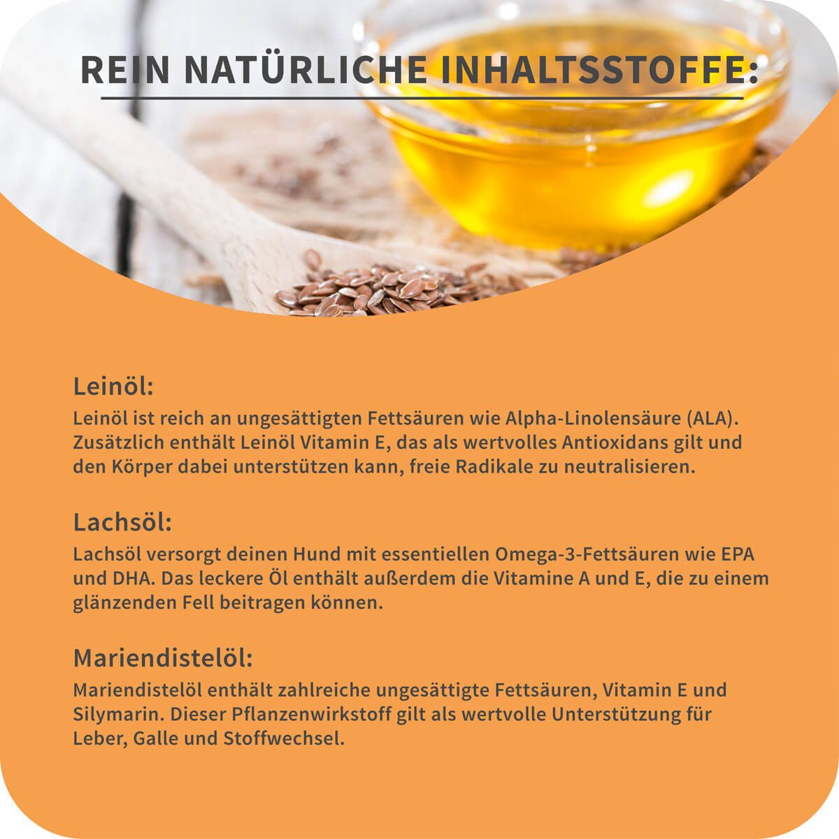 Text über Leinöl, Lachsöl und Mariendistelöl.  Zusätzlich: Öl, Leinsamen.