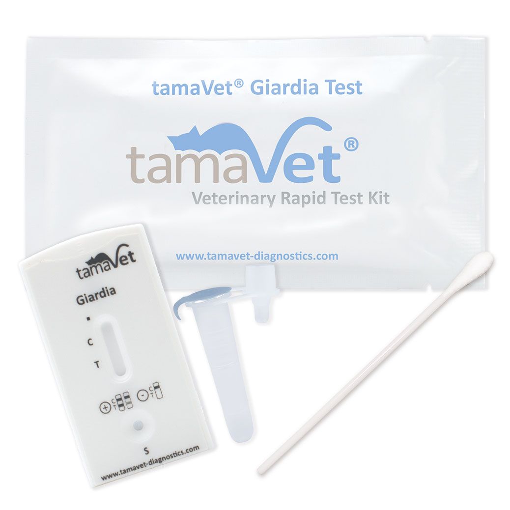 tamaVet Giardien Schnelltest: Testkassette, Verpackung, Röhrchen und Tupfer. Komponenten für den Test.