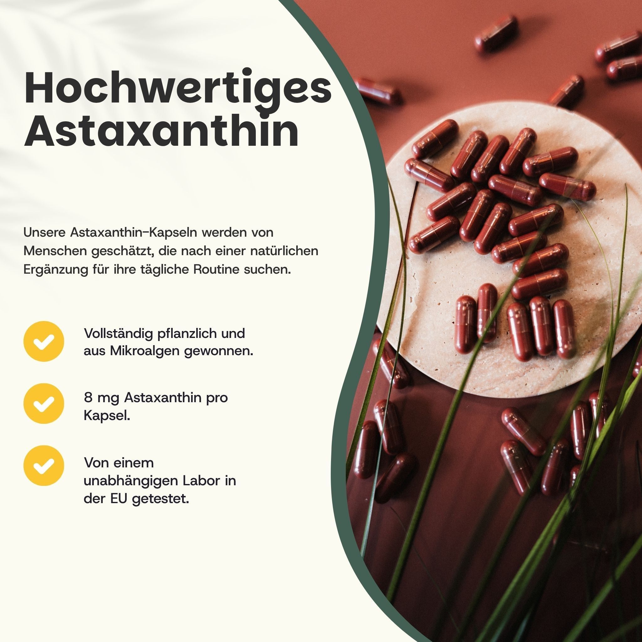 Hochwertiges Astaxanthin: pflanzlich, aus Mikroalgen gewonnen, 8 mg pro Kapsel, EU-Labor getestet.