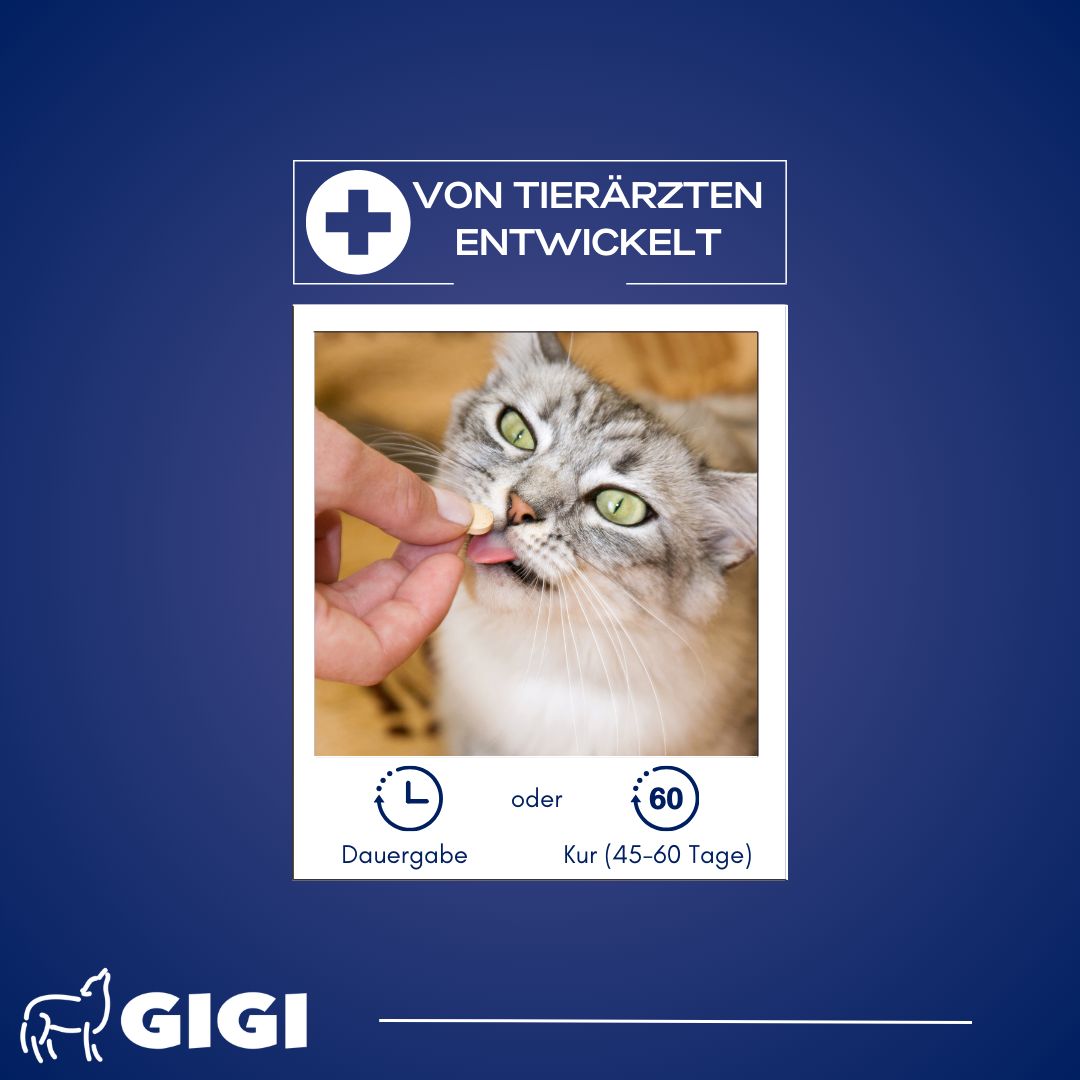 Katze bekommt Tablette von Hand. Text: Von Tierärzten entwickelt. Dauer- oder Kur-Gabe. GIGI Logo.