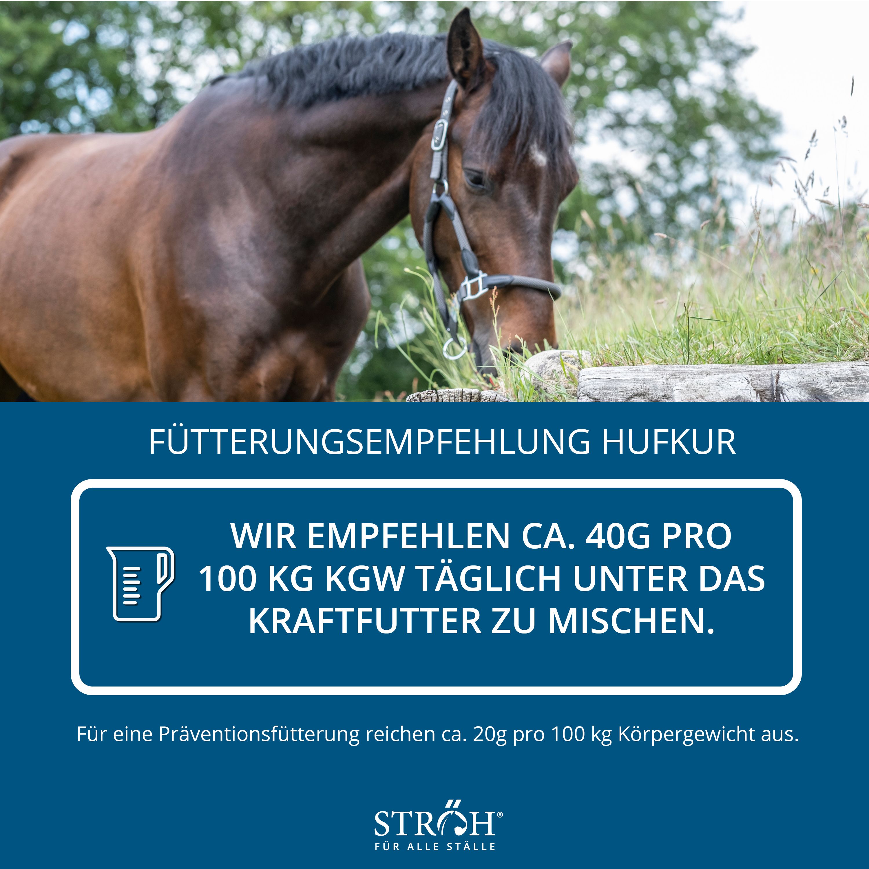 Text: "Fütterungsempfehlung Hufkur". Illustration eines Messbechers. Blauer Hintergrund. Text zur Dosierung.