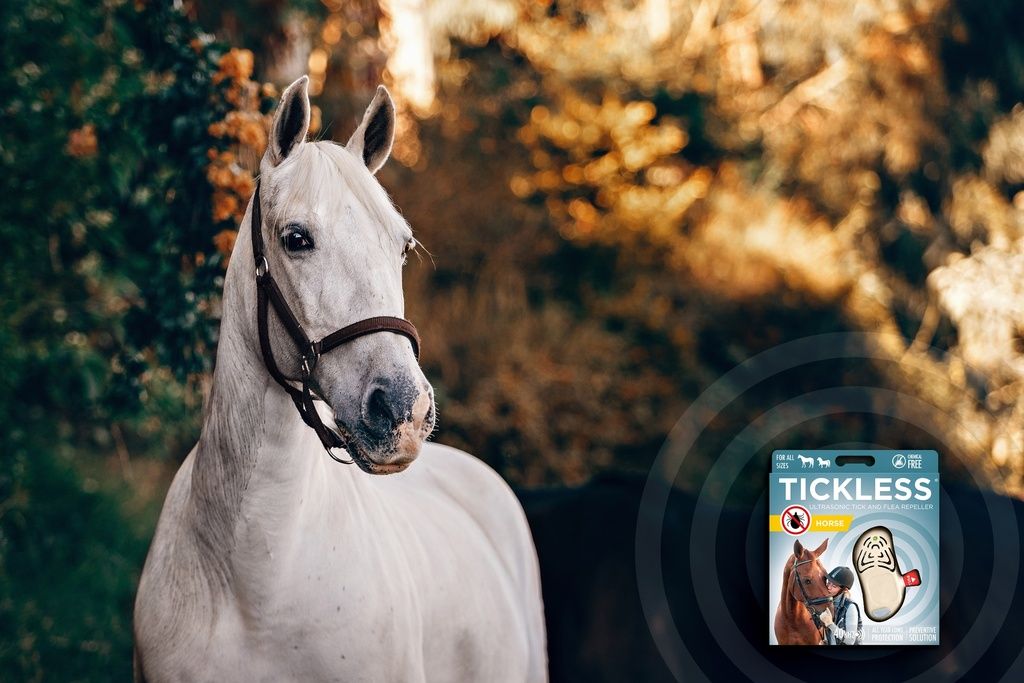 Weißes Pferd mit Halfter.  Verpackung mit Produktname, Pferd, Gerät.  Text: 'TICKLESS'.