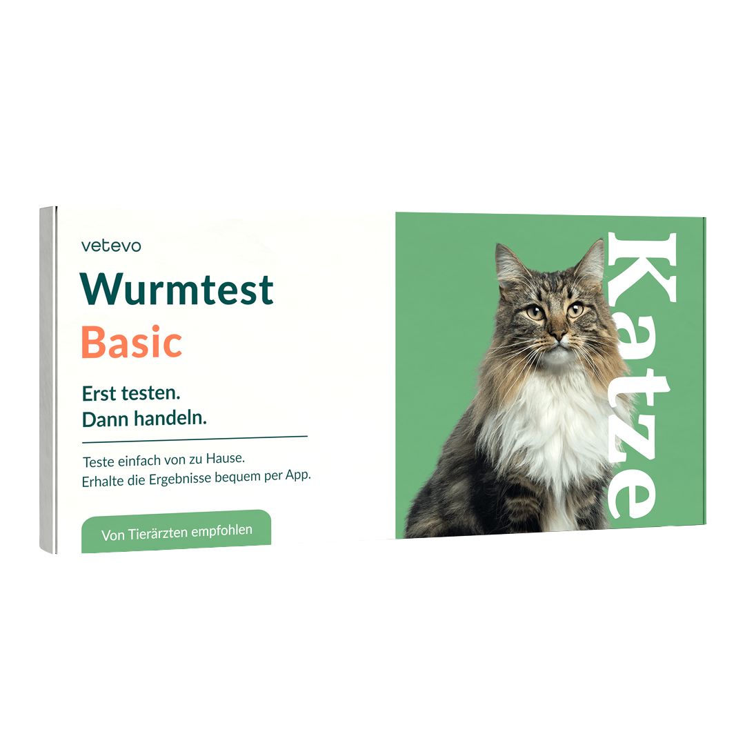 Produktverpackung Wurmtest Basic Katze. Text: Erst testen, dann handeln. Abbildung einer Katze.