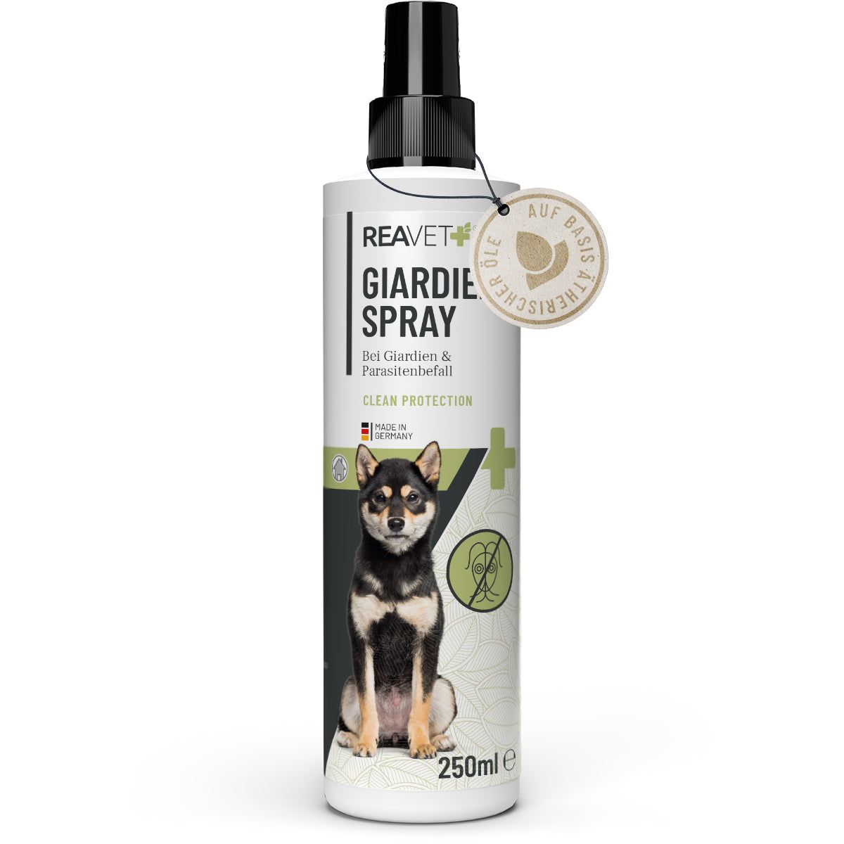 ReaVET Giardien Spray Flasche mit Sprühkopf, Etikett mit Produktnamen, Hund, 250ml. Anhänger mit Text.