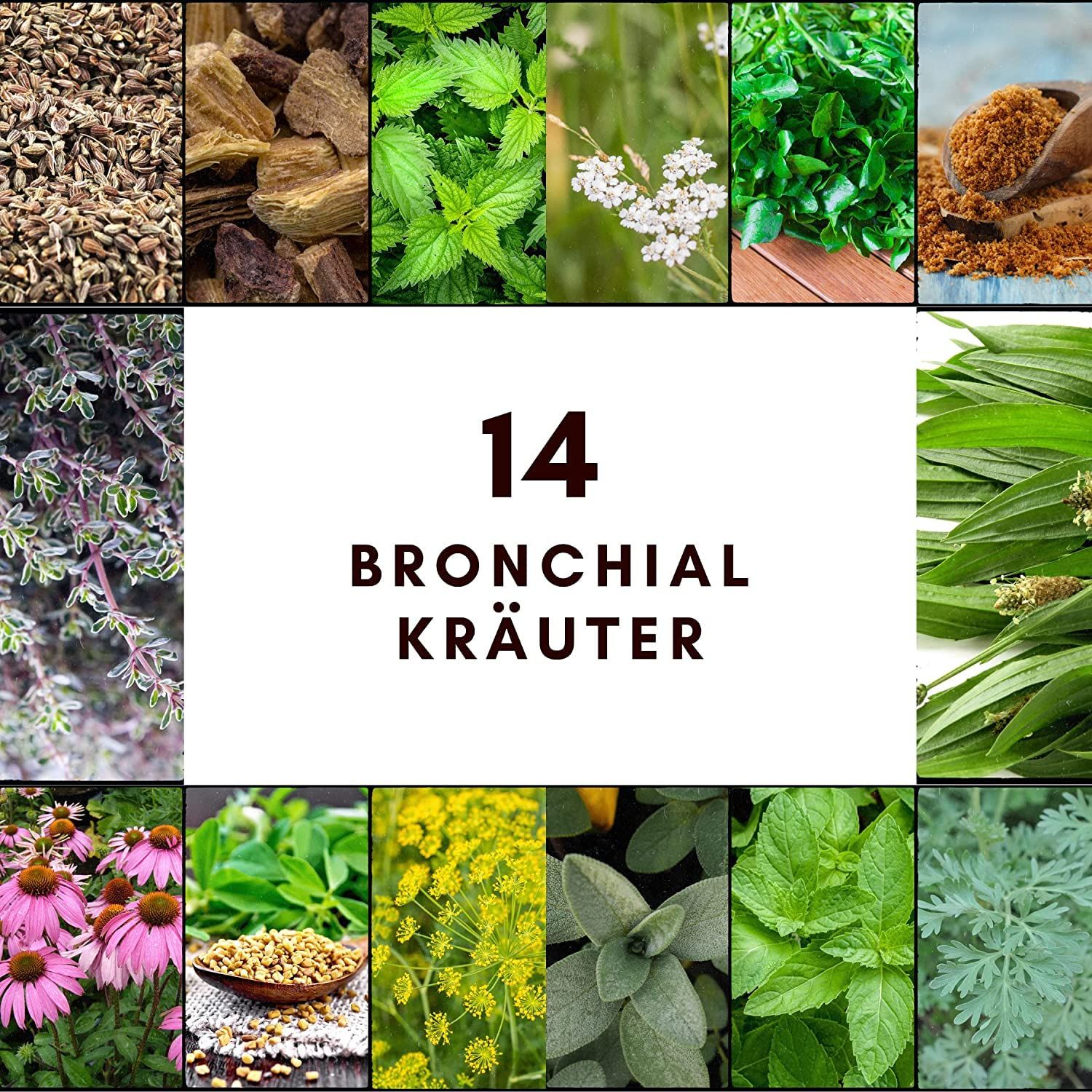 Anordnung von 14 verschiedenen Kräutern. In der Mitte: Text '14 Bronchial Kräuter'.