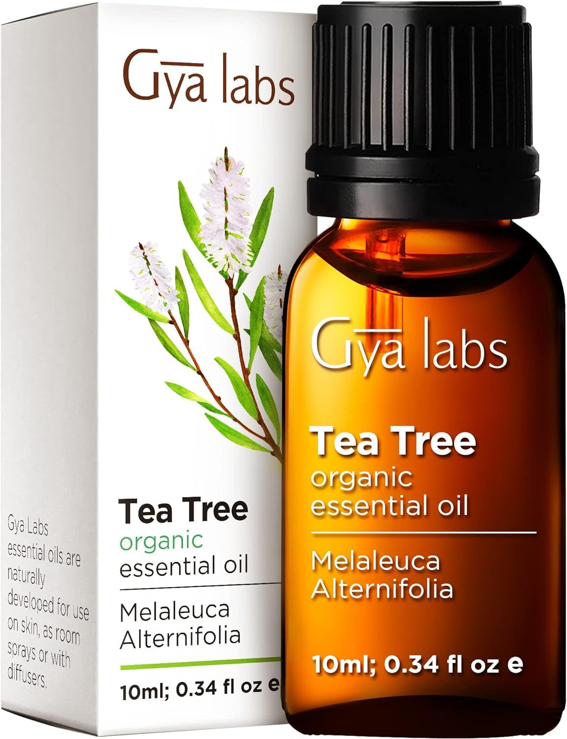 Braune Glasflasche mit schwarzem Deckel und weißer Verpackung. Aufschrift: Gya Labs, Tea Tree, 10ml.