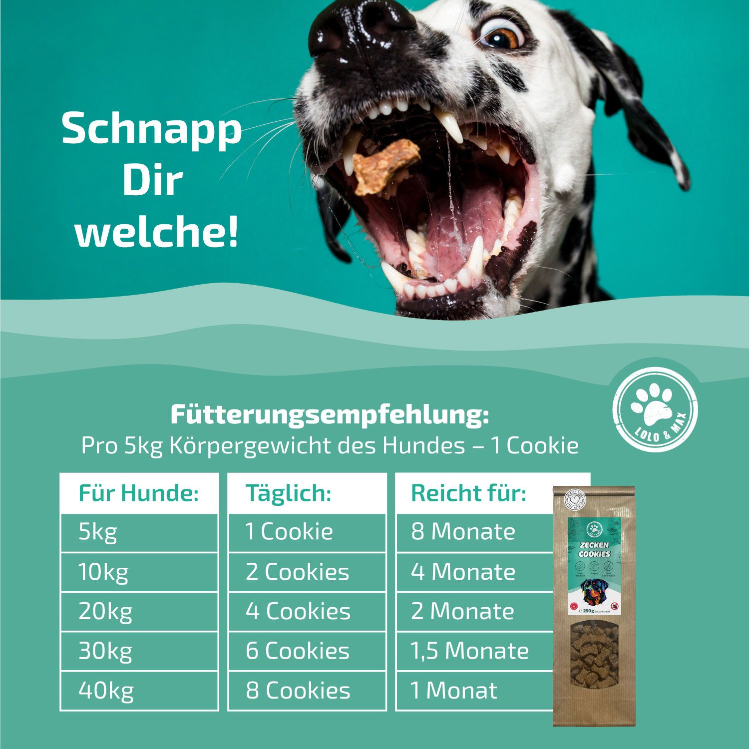 Ein Dalmatiner mit einem Keks im Maul. Rechts eine Tüte Lolo & Max Zecken Cookies. Text: Fütterungsempfehlung: Pro 5kg Körpergewicht des Hundes - 1 Cookie.